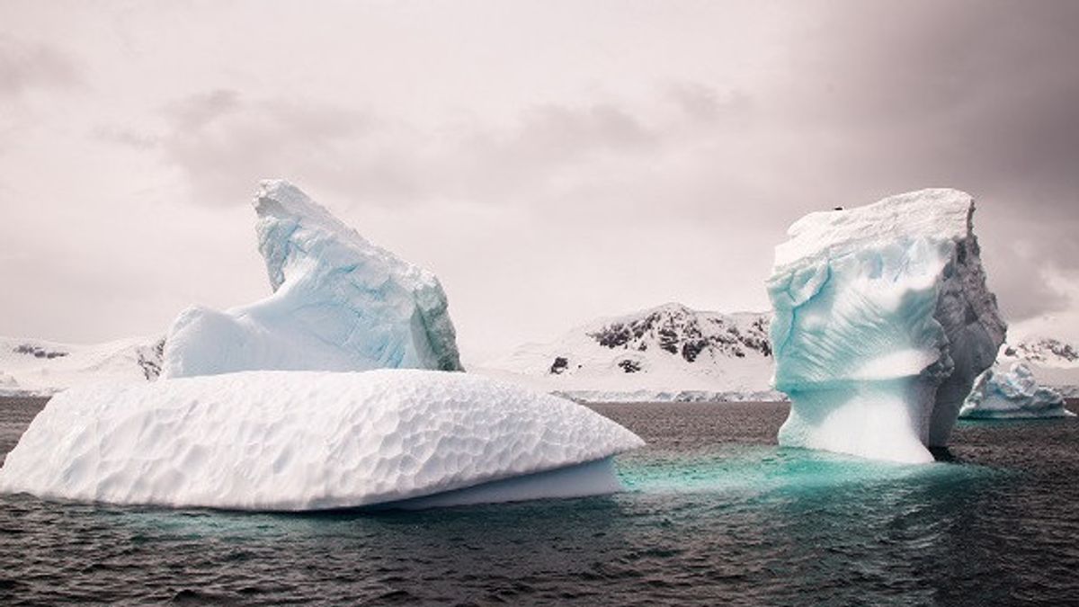 Zona Sirkulasi Antartika : Kehidupan Beragam